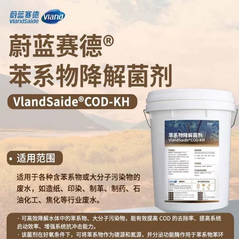 苯系物降解菌剂